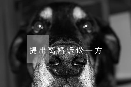 提出离婚诉讼一方 提出离婚诉讼一方