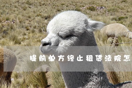 提前单方终止租赁法院怎么判