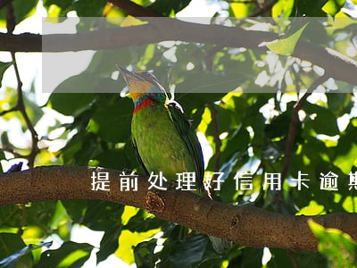 提前处理好信用卡逾期影响政审吗