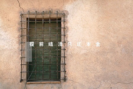 提前结清只还本金 提前结清只还本金