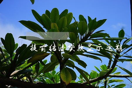 提前结清贷款显示逾期 提前结清贷款显示逾期