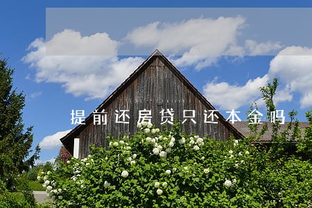 提前还房贷只还本金吗 提前还房贷只还本金吗