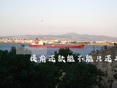 提前还款能不能只还本金