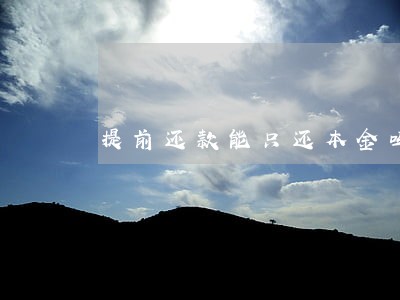 提前还款能只还本金吗