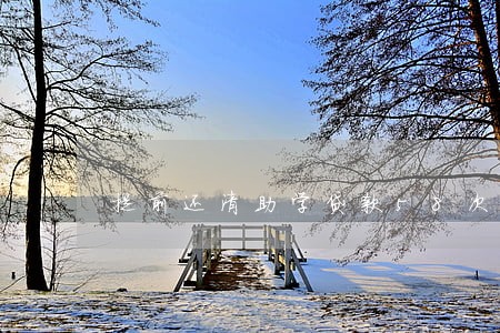 提前还清助学贷款58次逾期 提前还清助学贷款58次逾期