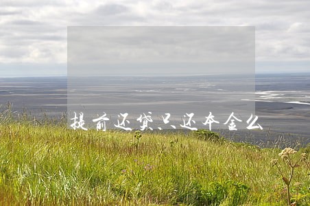 提前还贷只还本金么 提前还贷只还本金么