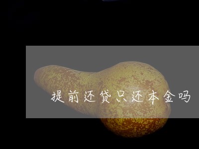 提前还贷只还本金吗 提前还贷只还本金吗