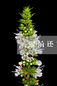 提前还贷可以只还本金吗 提前还贷可以只还本金吗