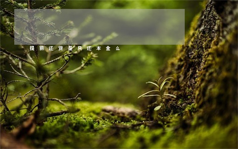 提前还贷是只还本金么 提前还贷是只还本金么