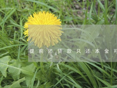 提前还贷款只还本金可以吗 提前还贷款只还本金可以吗