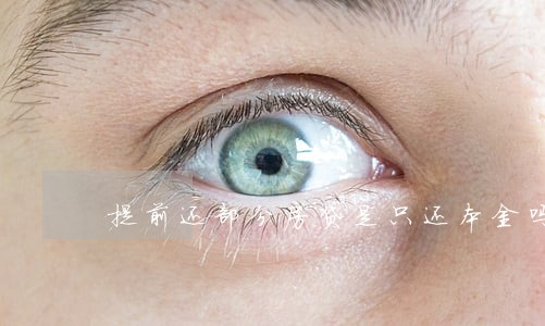 提前还部分房贷是只还本金吗 提前还部分房贷是只还本金吗