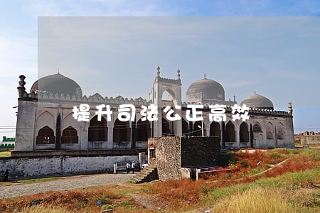 提升司法公正高效 提升司法公正高效