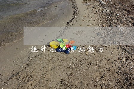提升法律援助能力 提升法律援助能力