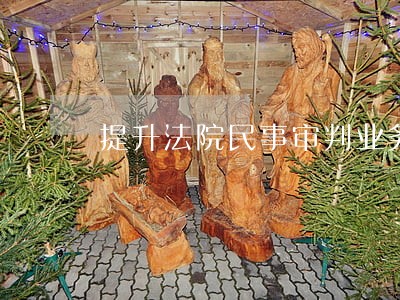 提升法院民事审判业务能力 提升法院民事审判业务能力