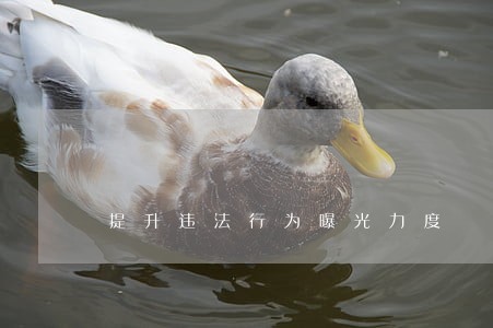 提升违法行为曝光力度 提升违法行为曝光力度