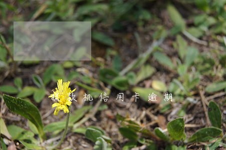 提款机信用卡逾期