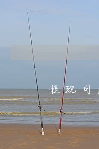 提现司法冻结了怎么办 提现司法冻结了怎么办