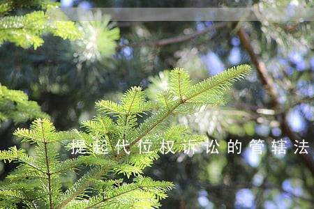 提起代位权诉讼的管辖法院为 提起代位权诉讼的管辖法院为