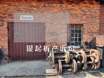 提起析产诉讼 提起析产诉讼
