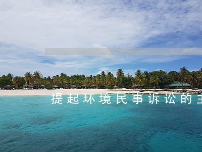提起环境民事诉讼的主体 提起环境民事诉讼的主体