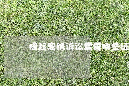 提起离婚诉讼需要哪些证件和手续 提起离婚诉讼需要哪些证件和手续