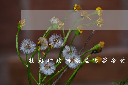 提起行政诉讼应当符合的条件有 提起行政诉讼应当符合的条件有
