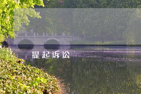提起诉讼 提起诉讼
