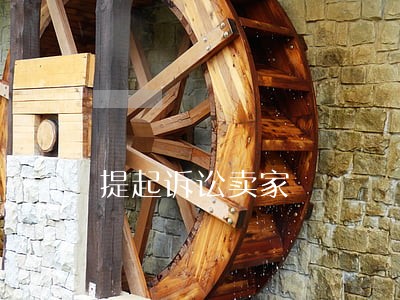 提起诉讼卖家 提起诉讼卖家