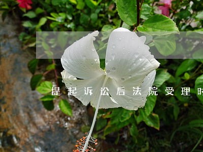 提起诉讼后法院受理时间 提起诉讼后法院受理时间