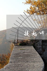 提起诉讼的孩子的监护权属于谁 提起诉讼的孩子的监护权属于谁