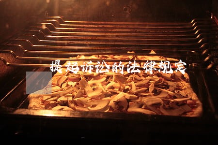 提起诉讼的法律规定 提起诉讼的法律规定
