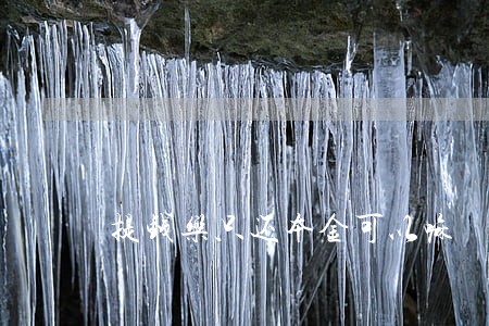 提钱乐只还本金可以嘛 提钱乐只还本金可以嘛