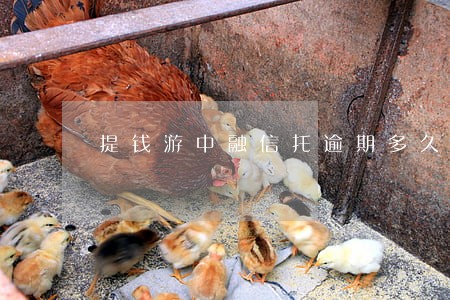 提钱游中融信托逾期多久打电话 提钱游中融信托逾期多久打电话