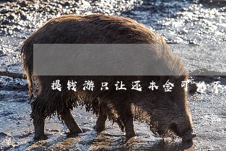 提钱游只让还本金可信不可信