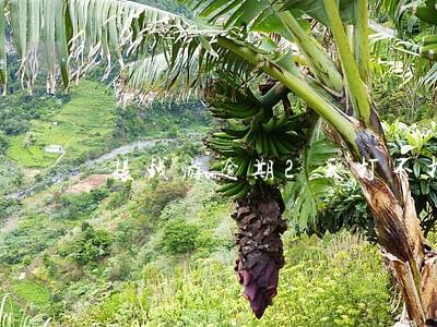提钱游逾期2天打不打电话 提钱游逾期2天打不打电话