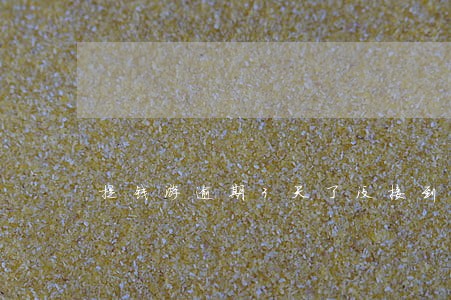 提钱游逾期3天了没接到一个电话 提钱游逾期3天了没接到一个电话