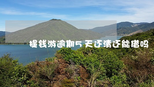 提钱游逾期5天还清还能借吗 提钱游逾期5天还清还能借吗