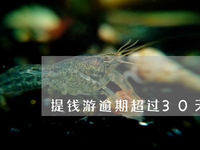 提钱游逾期超过30天 提钱游逾期超过30天
