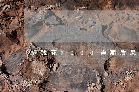 提钱花2000逾期后果