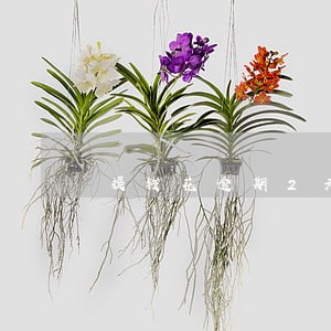 提钱花逾期2天冻结了 提钱花逾期2天冻结了