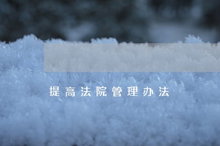 提高法院管理办法 提高法院管理办法