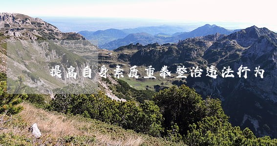 提高自身素质重拳整治违法行为 提高自身素质重拳整治违法行为