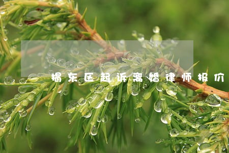 揭东区起诉离婚律师报价 揭东区起诉离婚律师报价