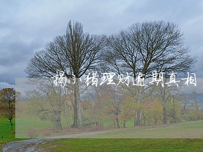 揭小猪理财逾期真相 揭小猪理财逾期真相