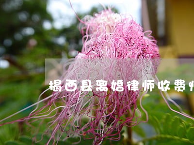 揭西县离婚律师收费情况 揭西县离婚律师收费情况