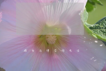 揭西法律咨询电话 揭西法律咨询电话