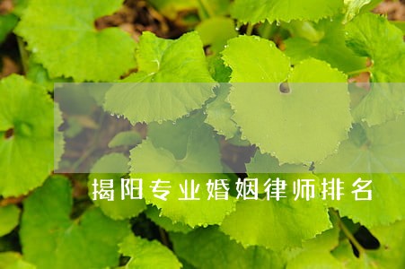 揭阳专业婚姻律师排名 揭阳专业婚姻律师排名