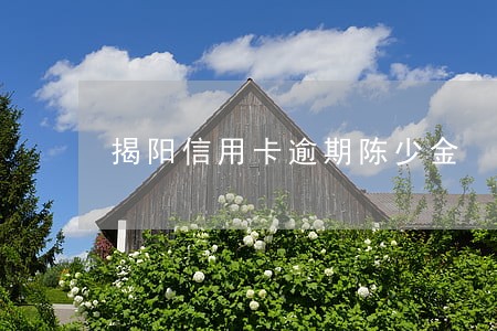 揭阳信用卡逾期陈少金