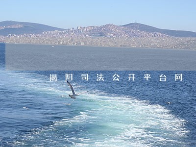 揭阳司法公开平台网 揭阳司法公开平台网