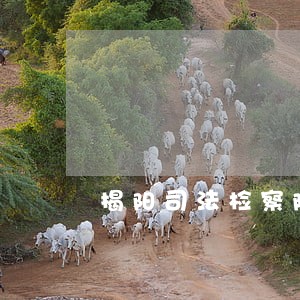揭阳司法检察院监督律师